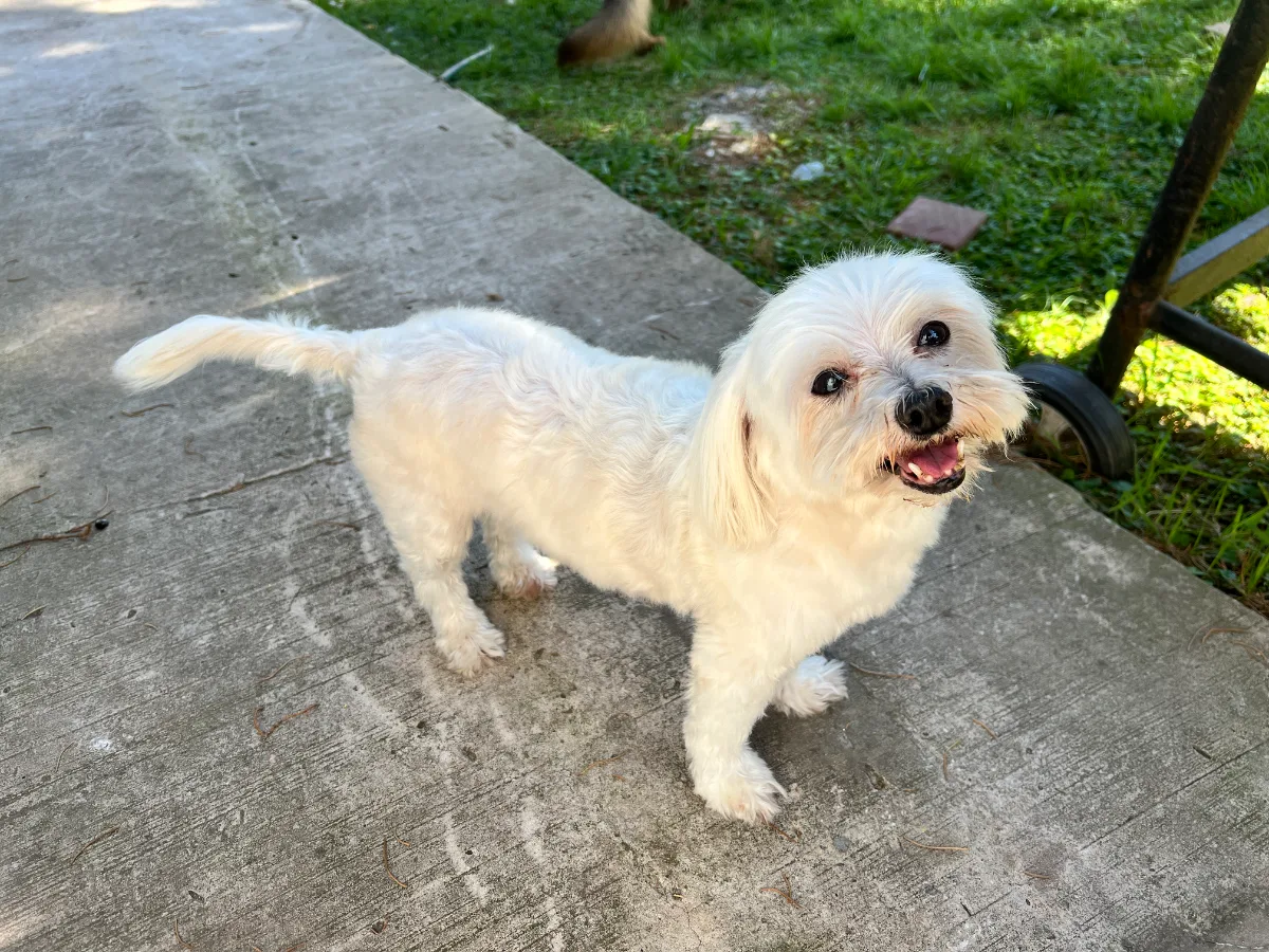 Foto de Sofía B.