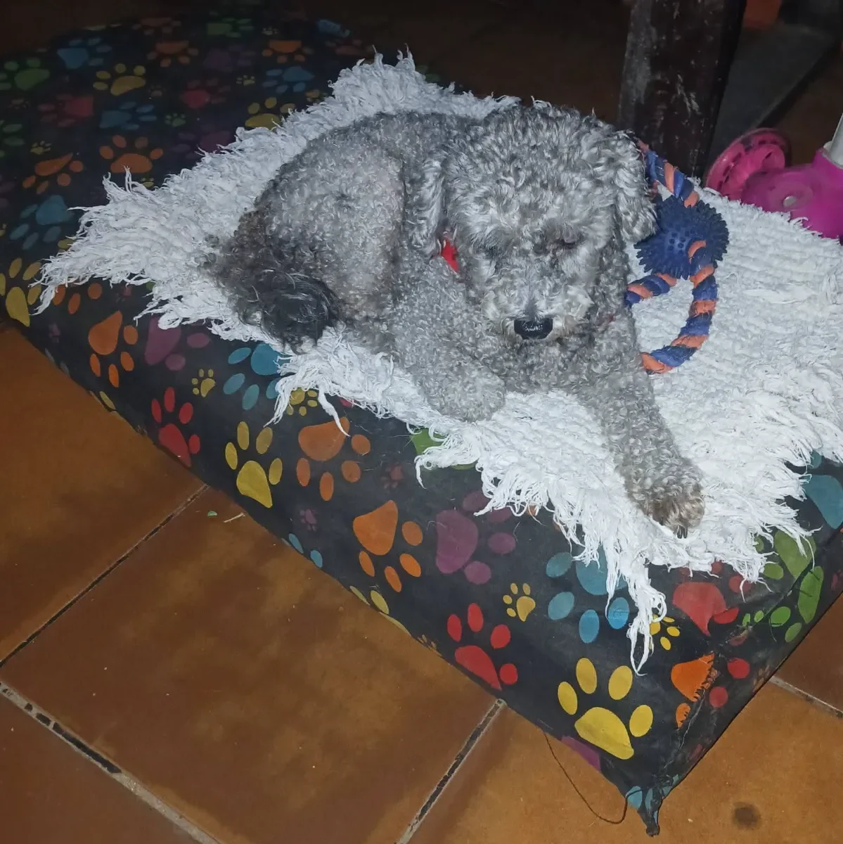 Foto de Flavia Noemi Jesica M.