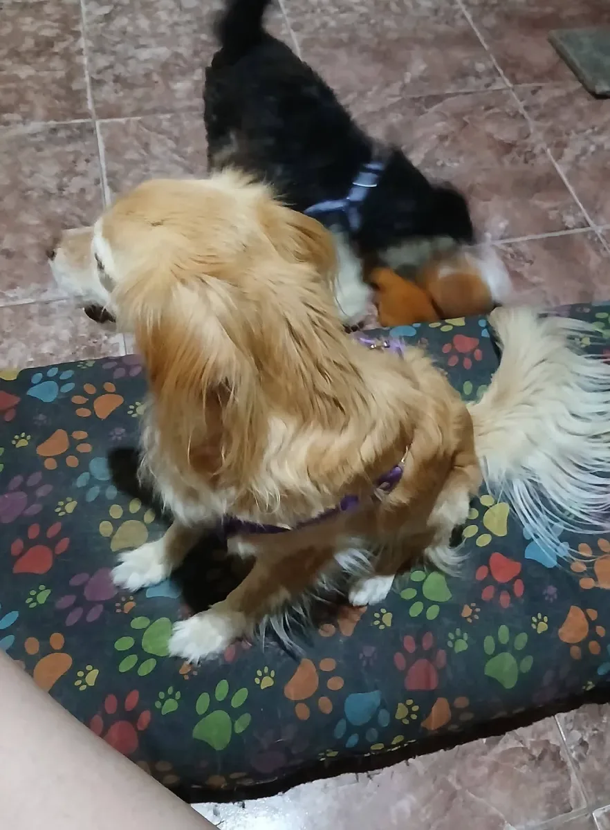 Foto de Flavia Noemi Jesica M.