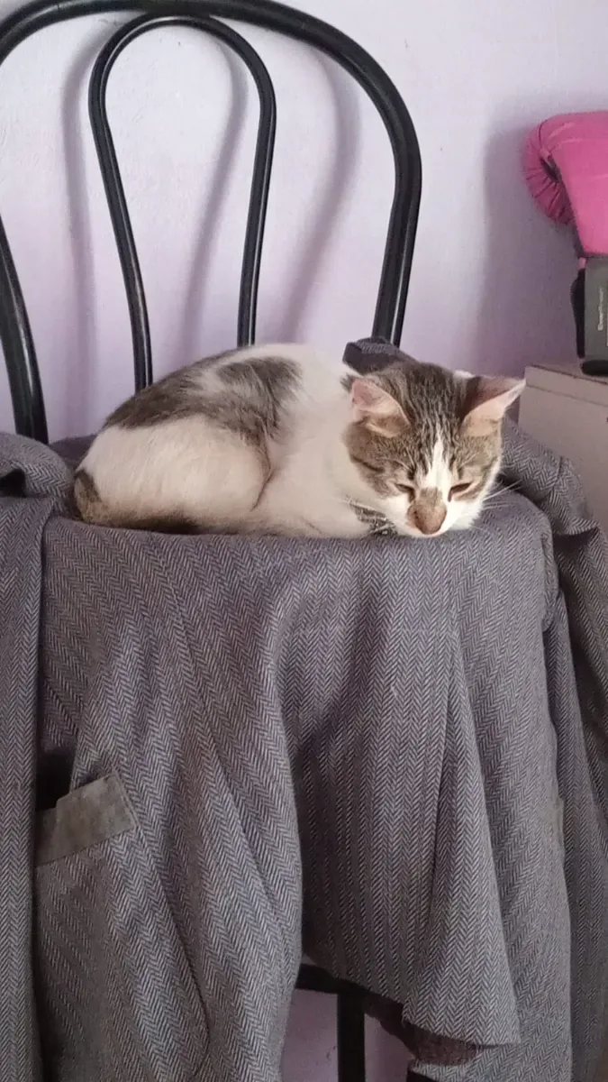 Pablo H.
