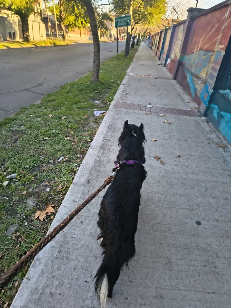 Foto de Camila Esperanza R.