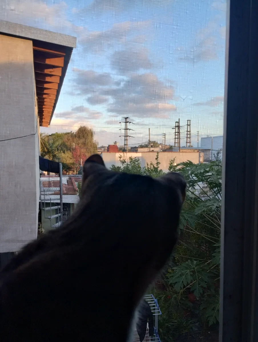 Foto de Mia Y.