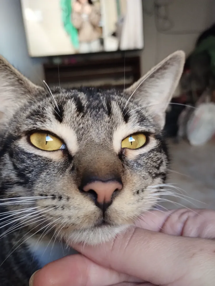 Foto de Mia Y.