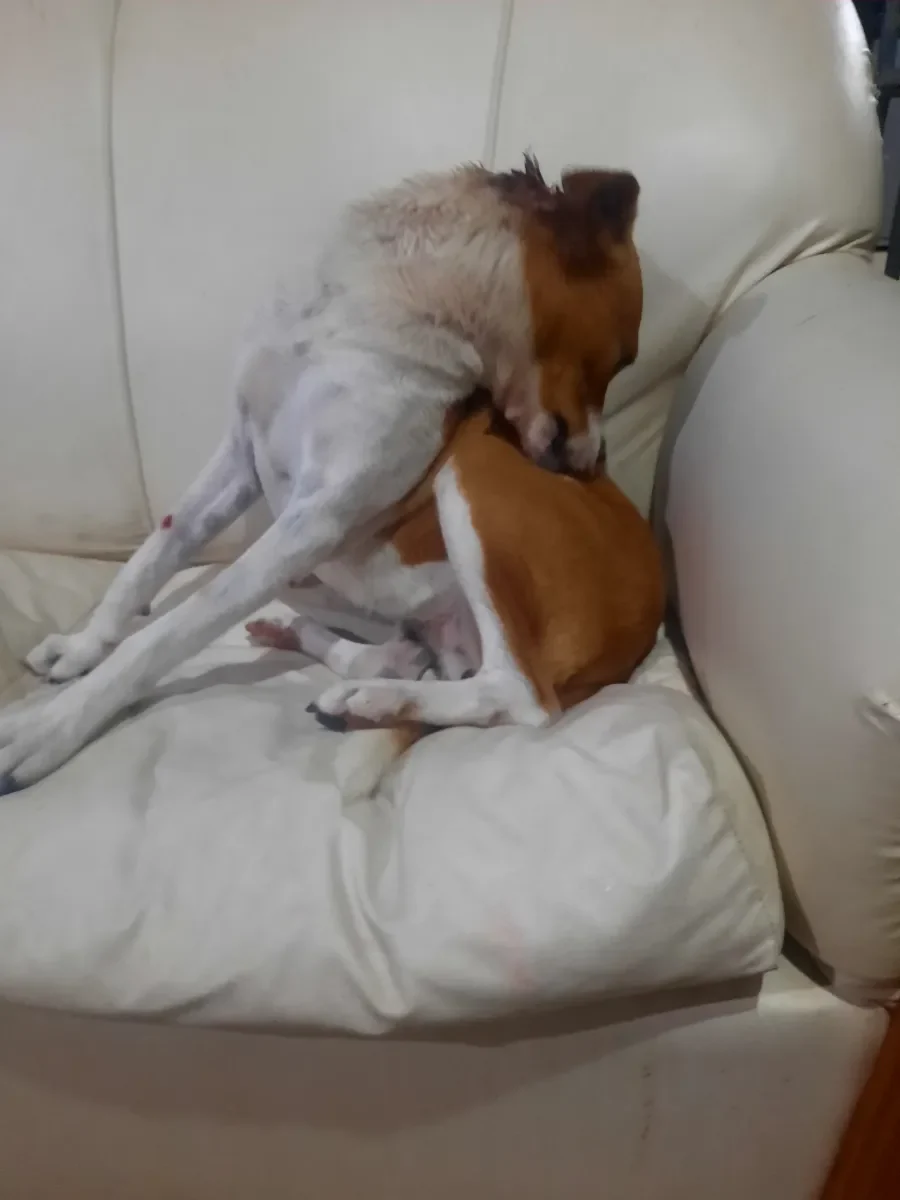 Morena Abigail S. 3