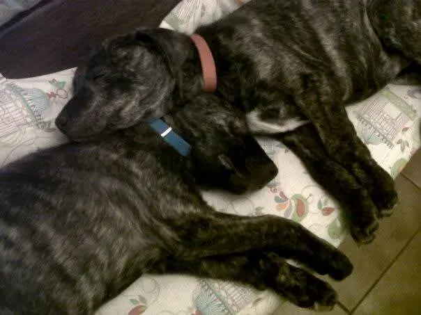 Juan Pedro B. 5
