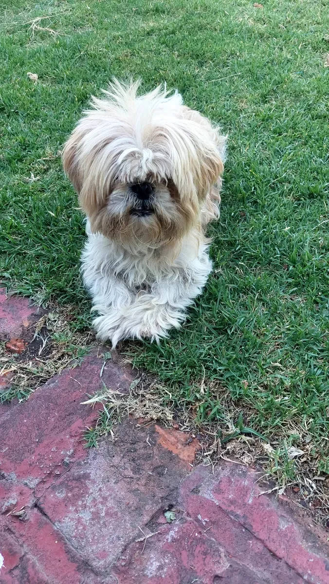 Foto de Marisa D.