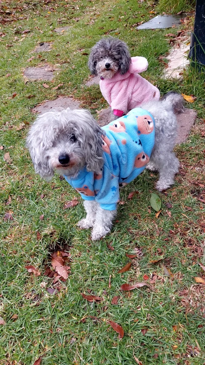 Foto de Marisa D.