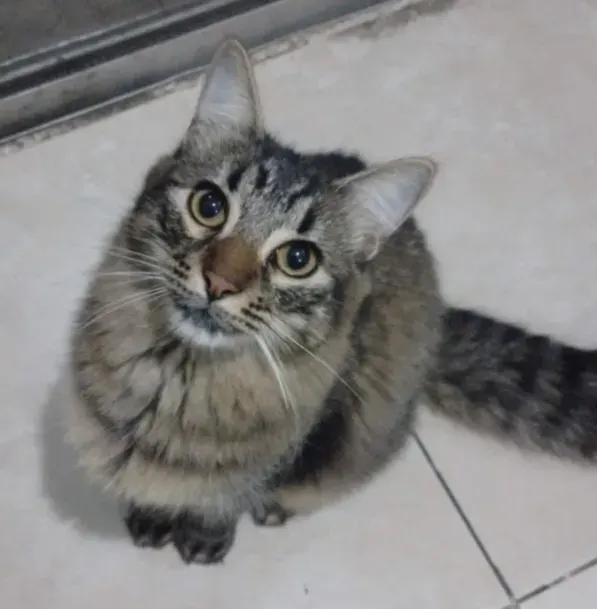 Gabriela K.