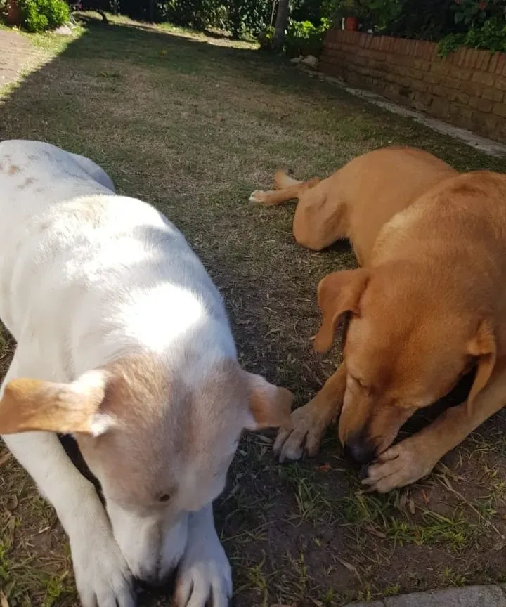 Foto de Noemi A.