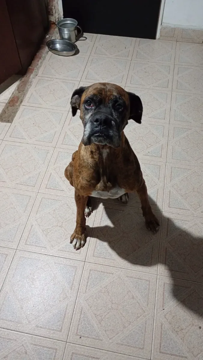 Foto de Rodrigo B.