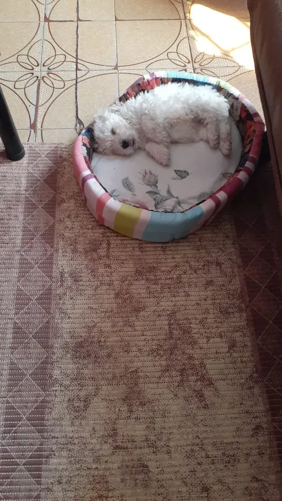 Foto de Romina M.