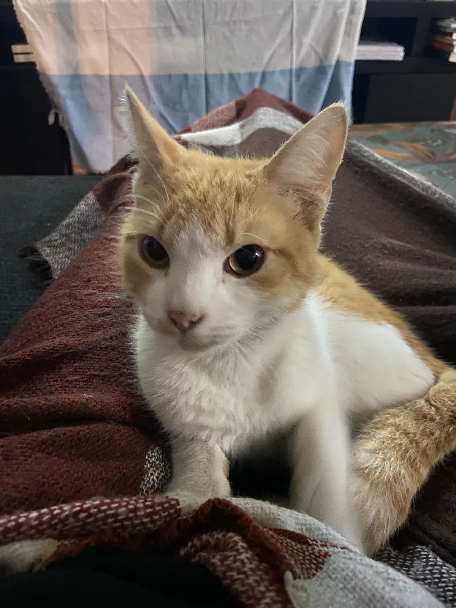 Foto de Kiara T.