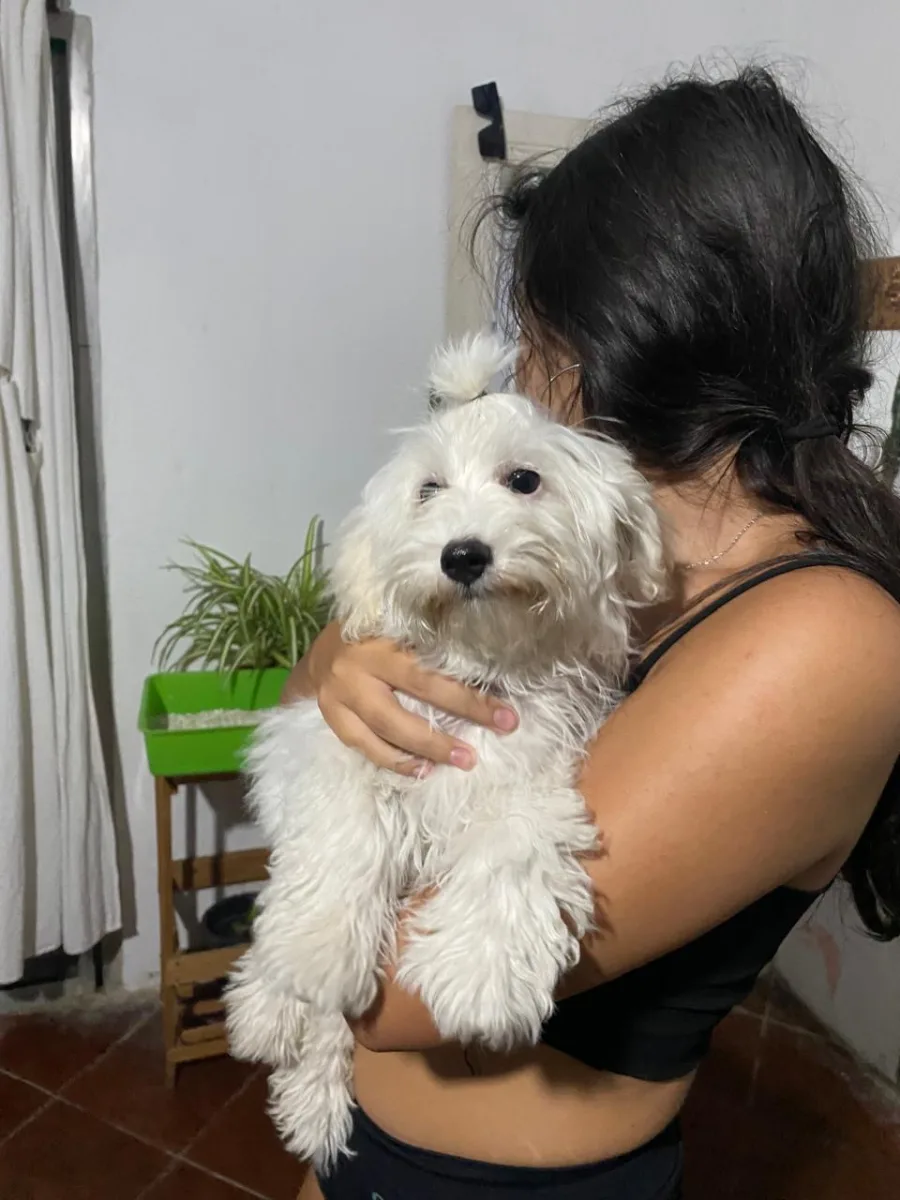 Foto de Kiara T.