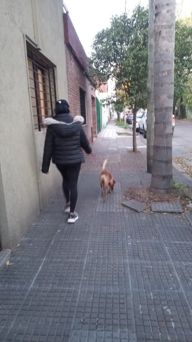 Foto de Brisa F.