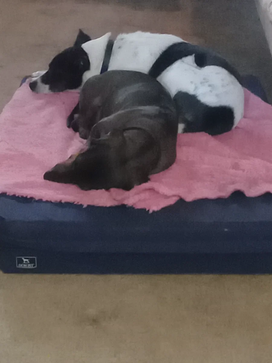 Foto de Clarisa C.