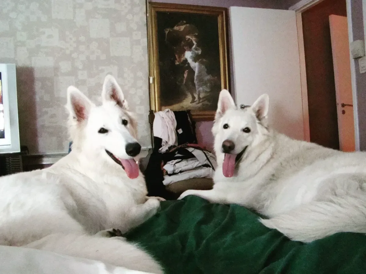 Foto de Marita A.